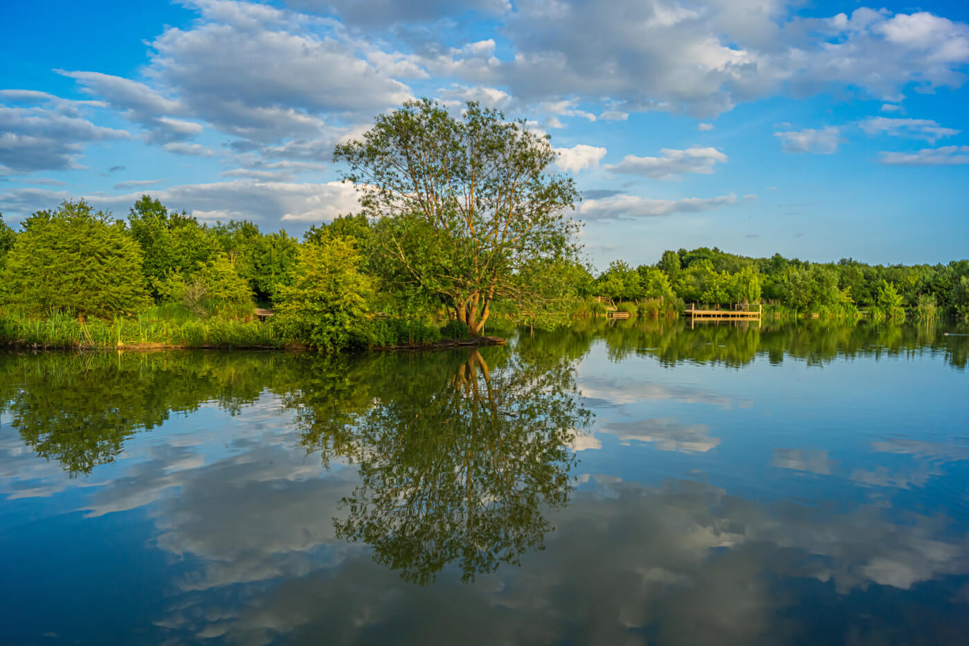 Dan Williamson Hypnotherapy Services